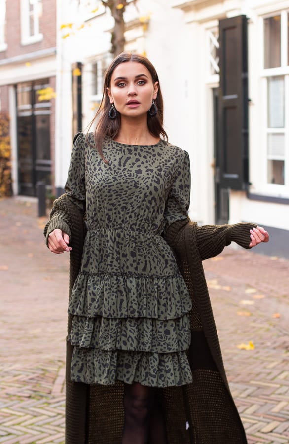Nova Leopard Dress Khaki – shoparchief — foto 2