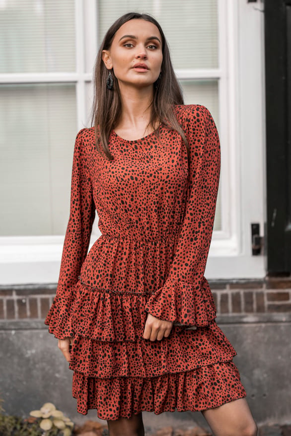 Nataly Cheetah Jurk Terracotta – shoparchief — foto 4