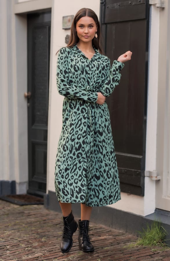 Maxi Jurk Panter Faye Groen – shoparchief — foto 3