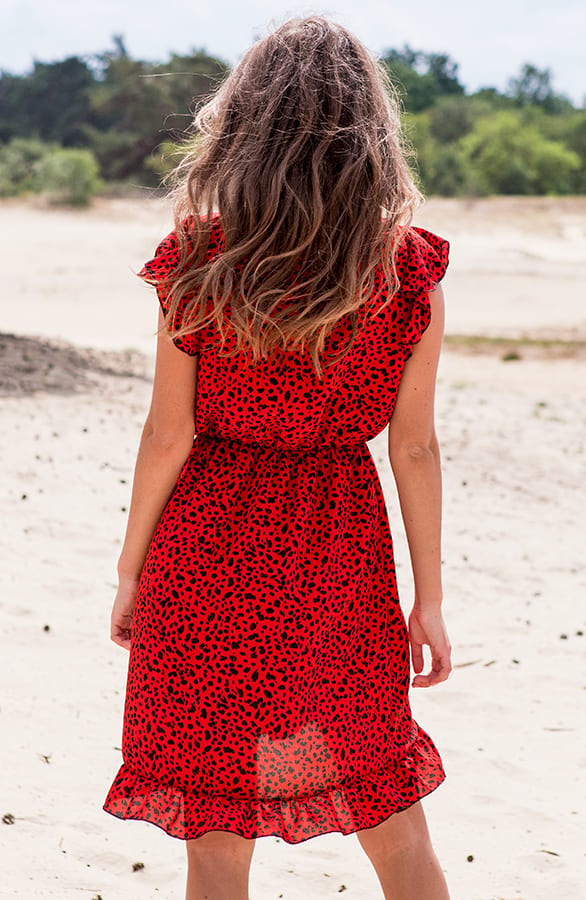 Cheetah Jurk Zara Rood – shoparchief — foto 4