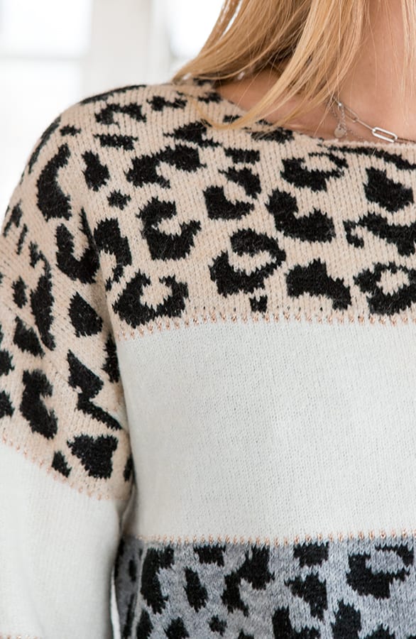 Gestreepte Panter Trui Lexi – shoparchief — foto 4
