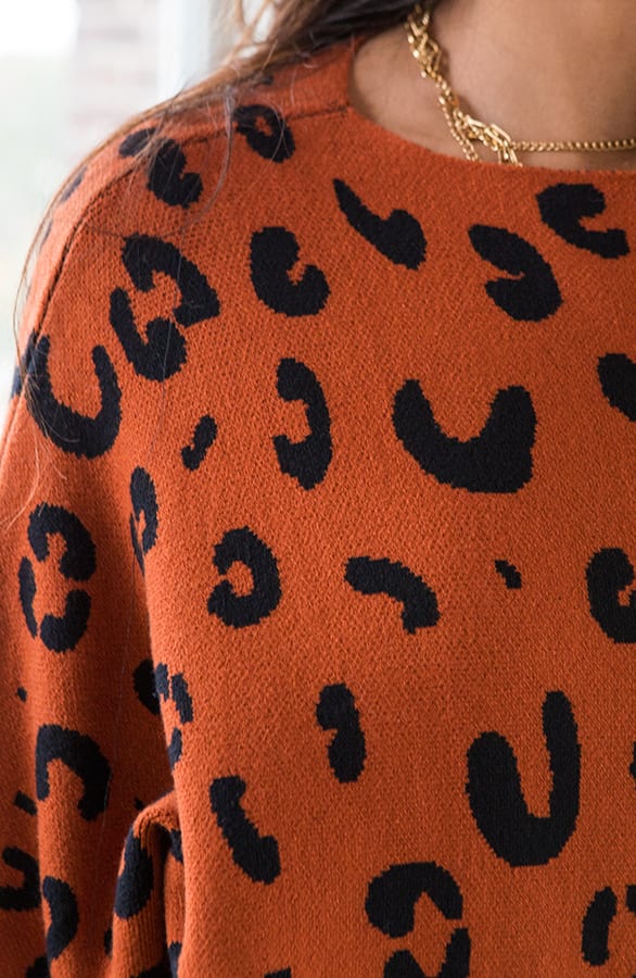 Oversized Leopard Trui Aïda Cognac Zwart – shoparchief — foto 4