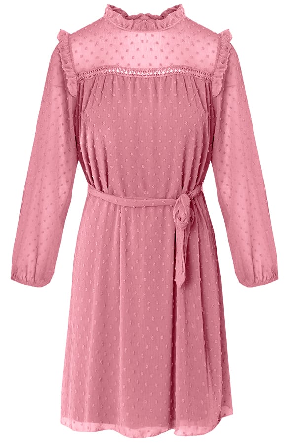 Jurk Isabel Dust Roze – shoparchief