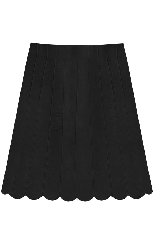 A-Lijn Rok Fallon Zwart – shoparchief