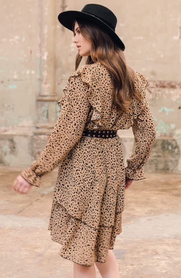 Laagjes Jurk Cheetah Yara – shoparchief — foto 3