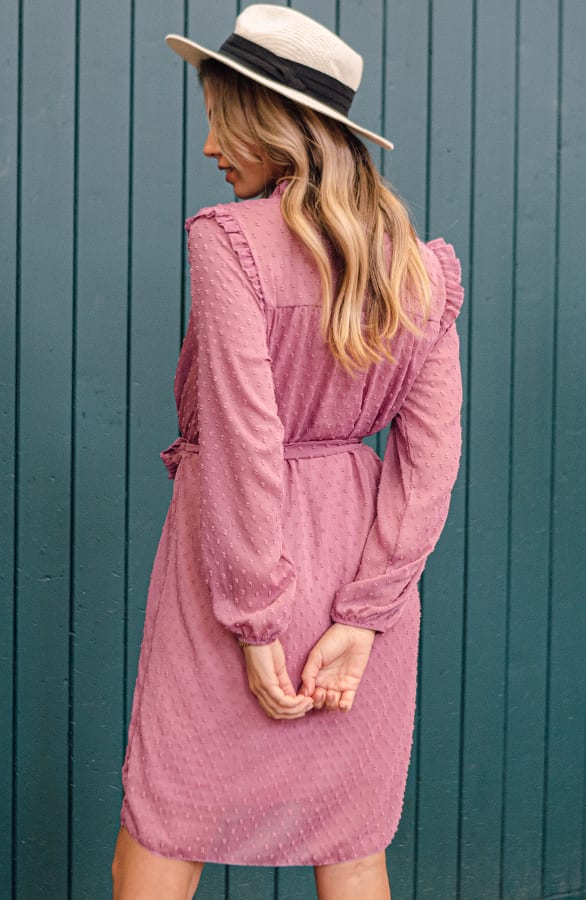 Jurk Isabel Dust Roze – shoparchief — foto 3