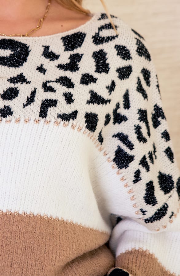Gestreepte Panter Trui Lexi Camel – shoparchief — foto 4
