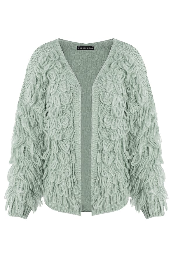 Trendy Gebreid Franjes Vest Veerle Dust Mint – shoparchief — foto 6