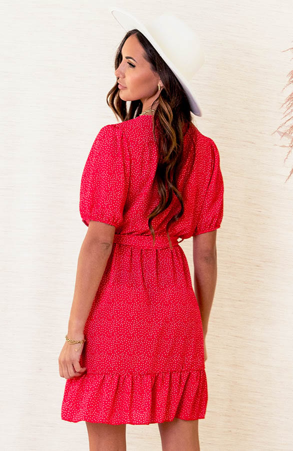 Stippenprint Jurk Heather Rood – shoparchief — foto 4