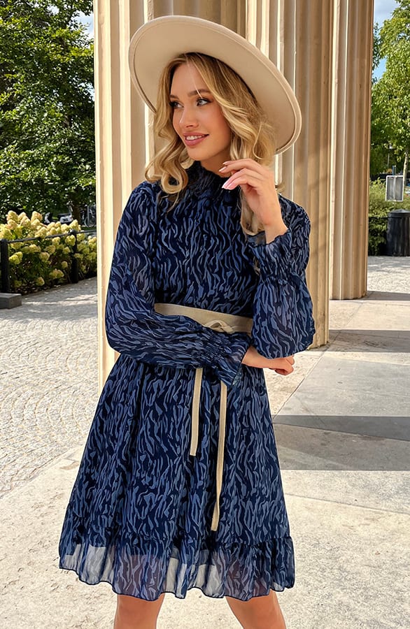 Zebraprint Col Jurk Dalina Blauw – shoparchief — foto 3