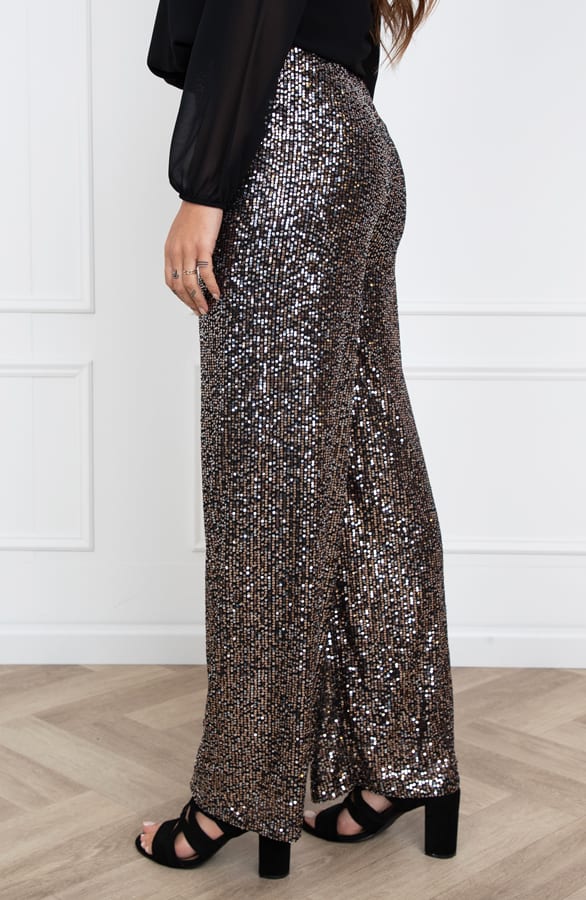 Pailletten Broek Tanja Brons – shoparchief — foto 2