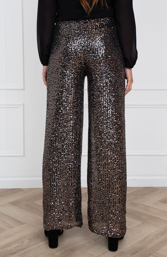 Pailletten Broek Tanja Brons – shoparchief — foto 3