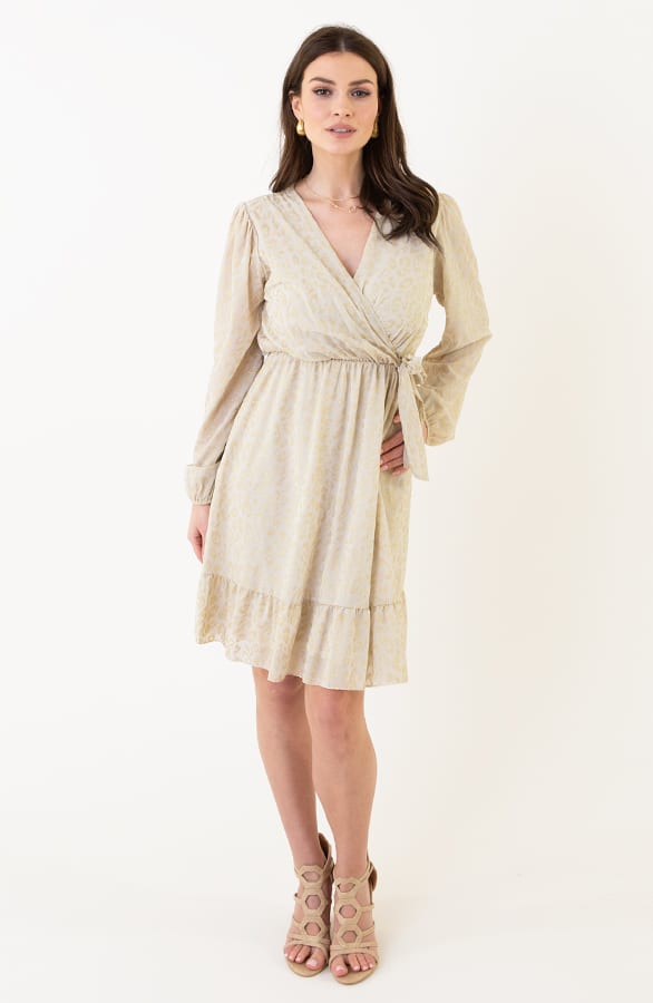 Leopard Jurk V-Hals Nova Beige Goud – shoparchief — foto 8