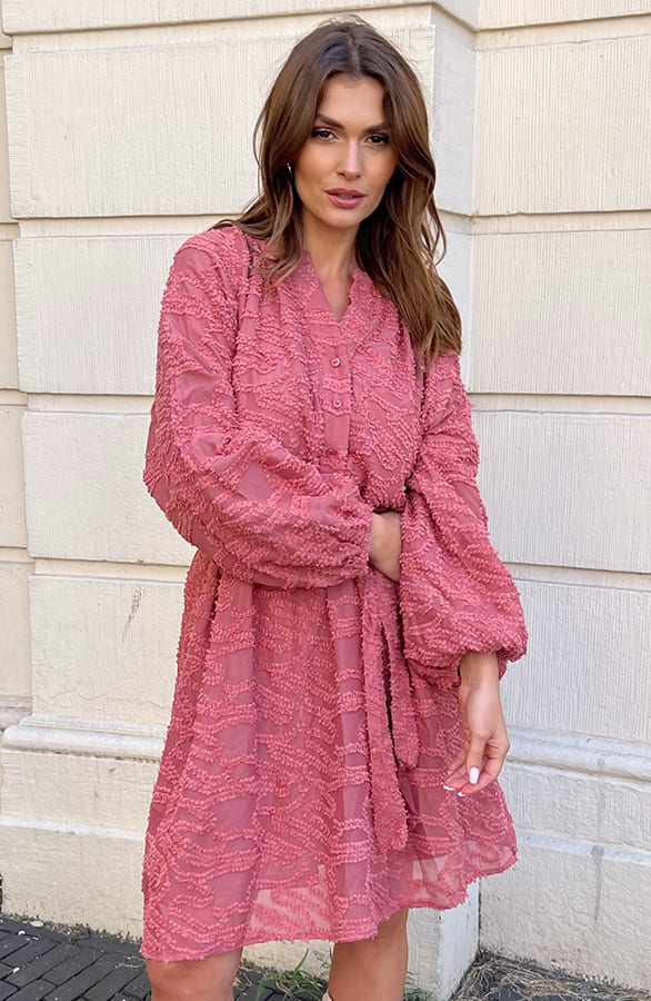Detailed Dress Jailyn Dust Roze – shoparchief — foto 3