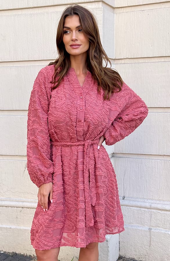 Detailed Dress Jailyn Dust Roze – shoparchief