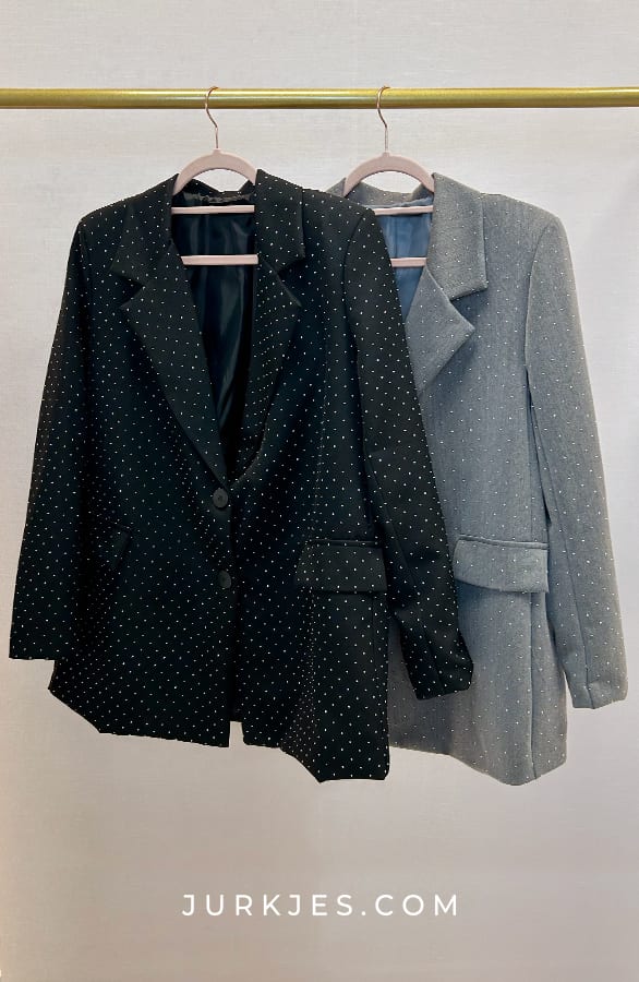 Strass Blazer Staci Grijs – shoparchief — foto 3