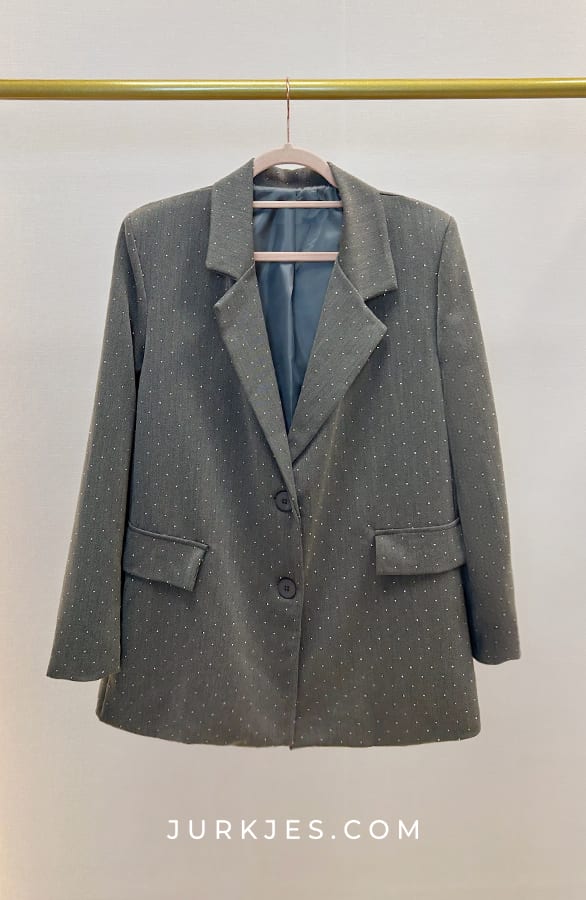 Strass Blazer Staci Grijs – shoparchief
