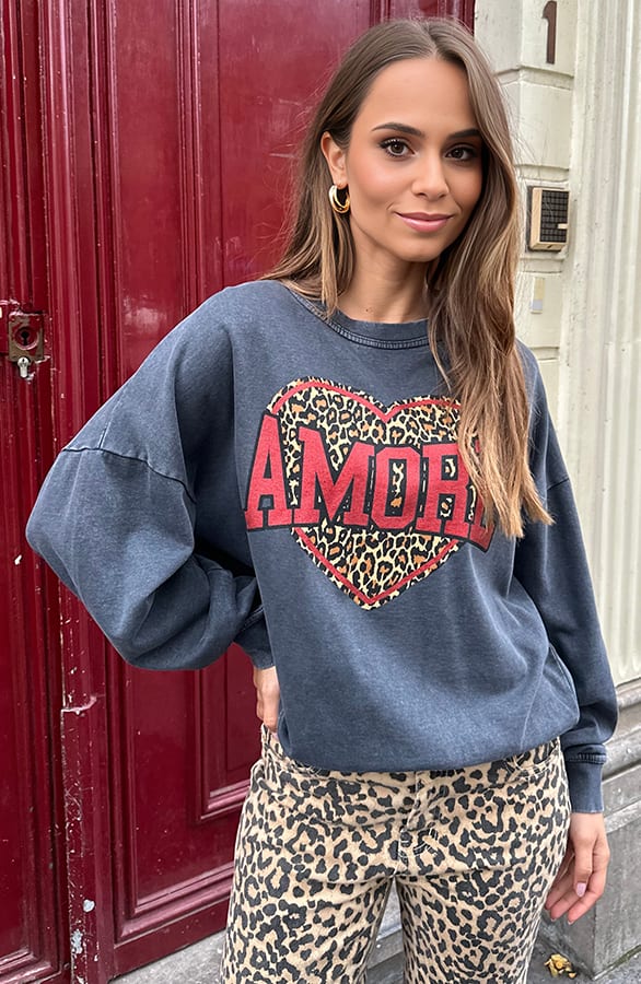 Amore Heart Trui Leopard Lindi Stone Wash – shoparchief — foto 4