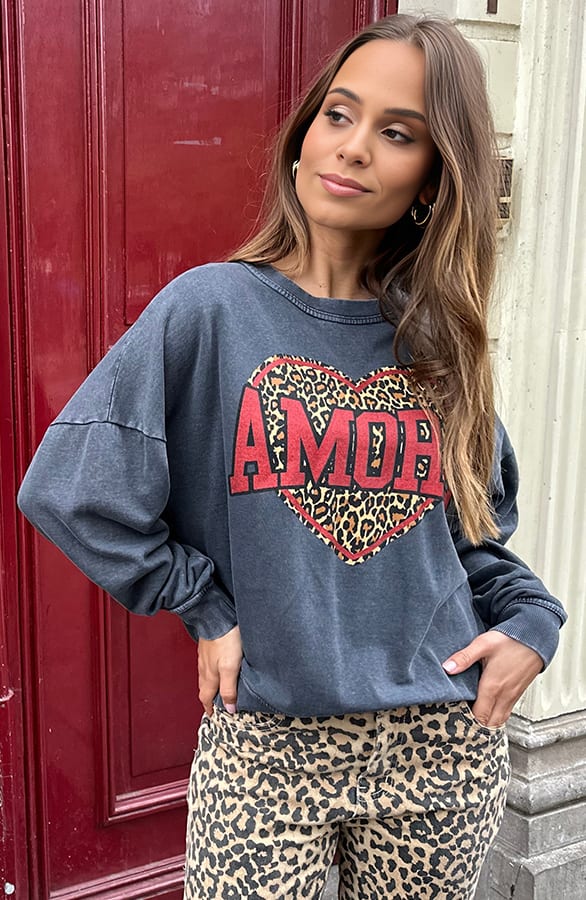 Amore Heart Trui Leopard Lindi Stone Wash – shoparchief — foto 5