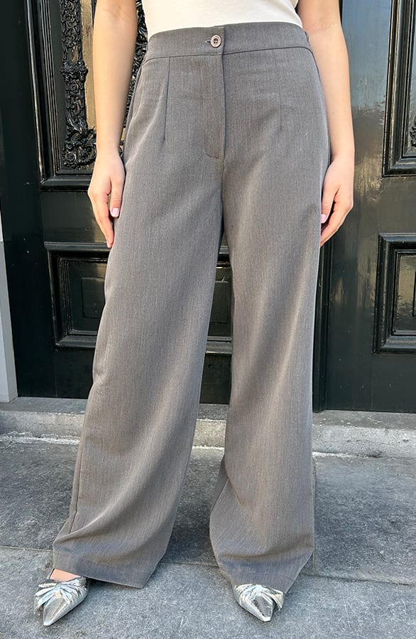 Elegant Pantalon Grijs – shoparchief
