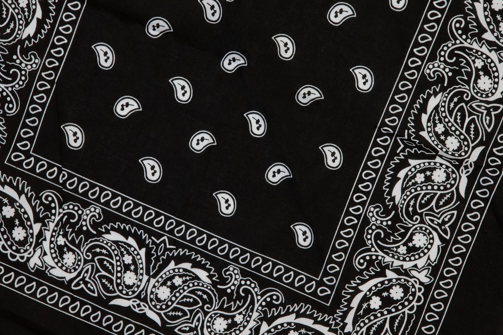 Paisley Icon Bandana Zwart – accessoires — foto 3