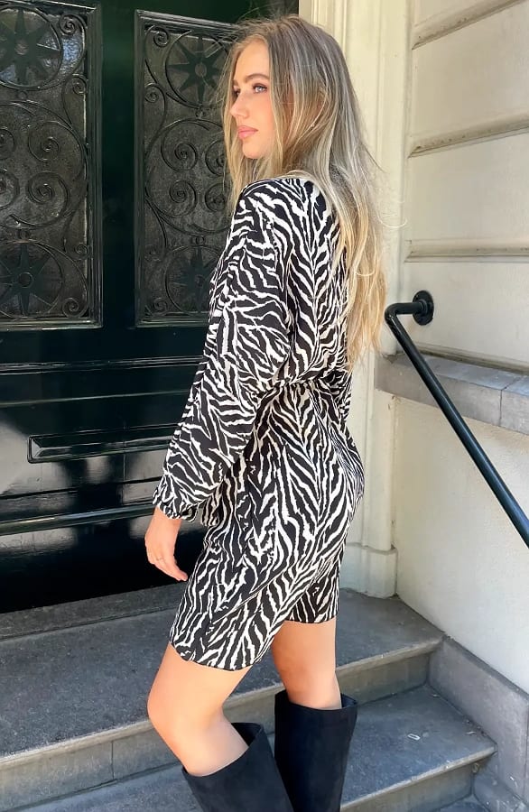 Overslag Jurk Zebraprint Beige – alle jurkjes — foto 3